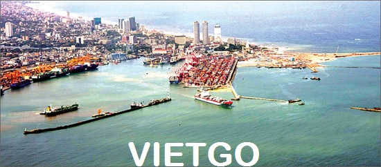tinh bột sắn việt nam